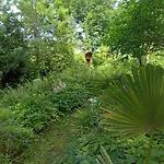 Baron Schoeneck 4*