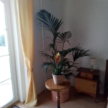 Pensionat Baron Schoeneck