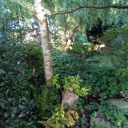 Pensionat Baron Schoeneck 4*