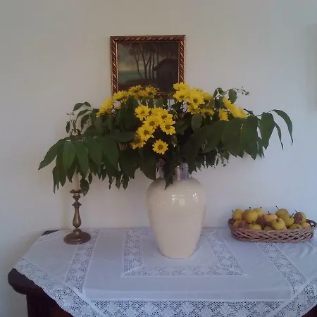 Baron Schoeneck Pensionat 4*